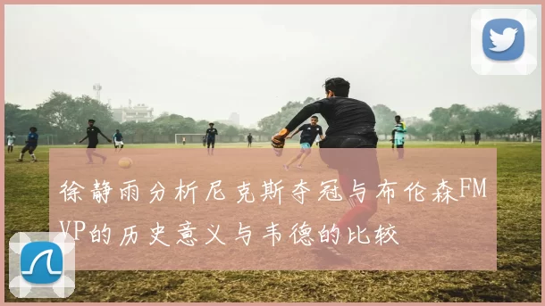 徐静雨分析尼克斯夺冠与布伦森FMVP的历史意义与韦德的比较